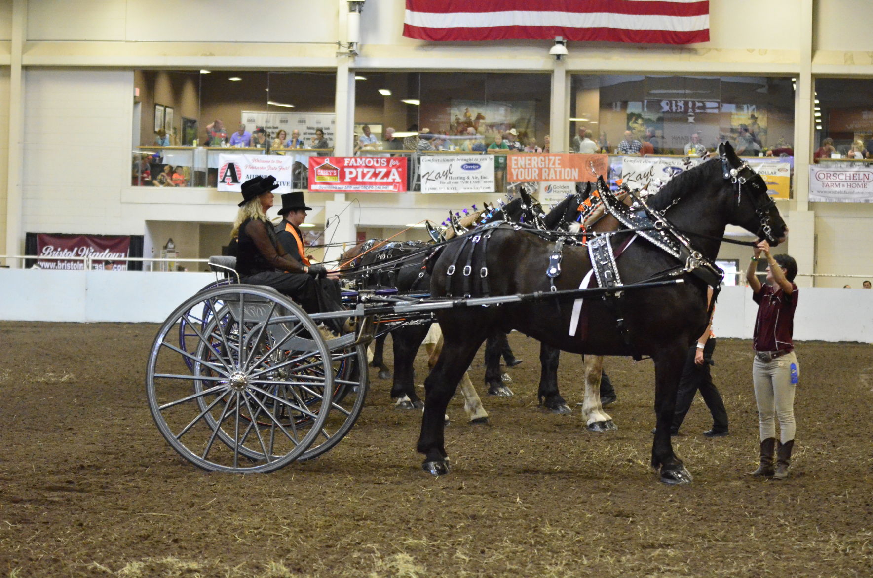 8-25-19 Draft Horse Hitch Final (42).JPG
